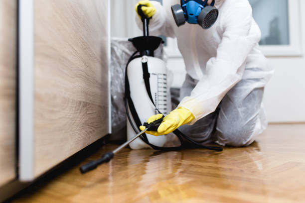 Best Pest Removal Services  in Bridgman, MI