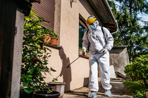 Best Residential Pest Control  in Bridgman, MI