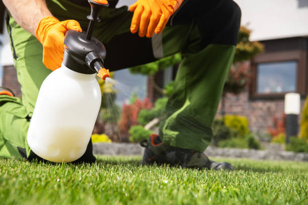 Best Bird Control  in Bridgman, MI