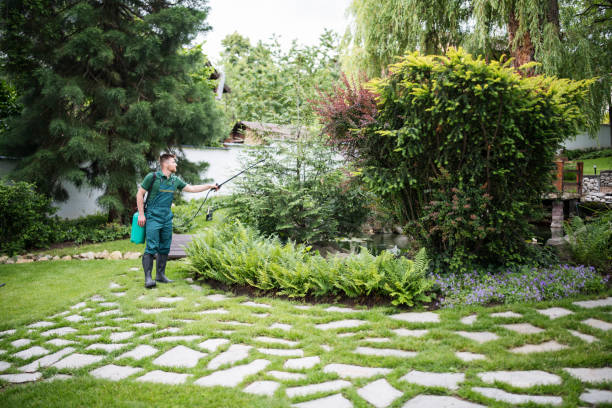 Best Affordable Pest Control Services  in Bridgman, MI