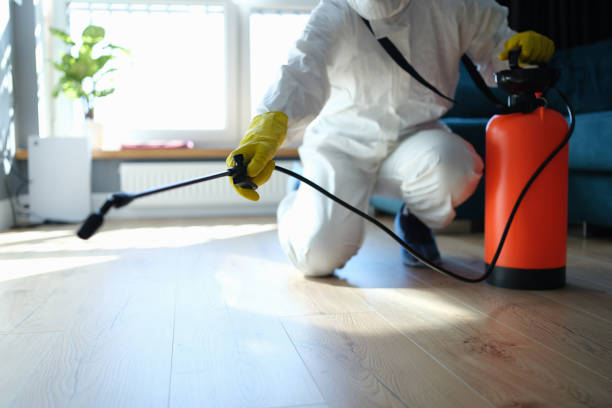 Best Flea Control Services  in Bridgman, MI