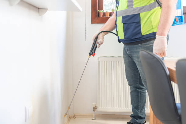 Best Flea Control Services  in Bridgman, MI