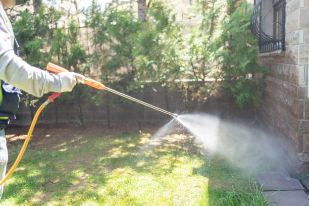 Best Exterminator Services  in Bridgman, MI