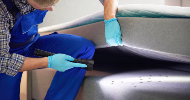 Best Rat Extermination Near Me  in Bridgman, MI