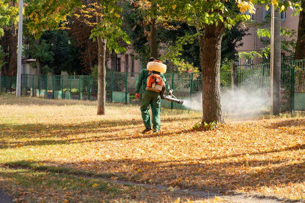 Trusted Bridgman, MI Pest Control Experts