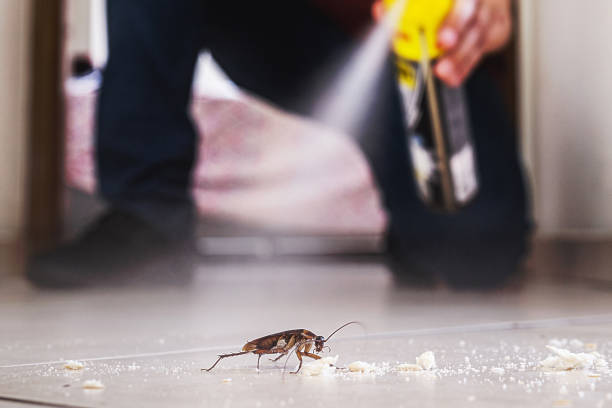 Best Cockroach Control Services  in Bridgman, MI