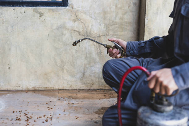 Best Best Pest Control Companies  in Bridgman, MI