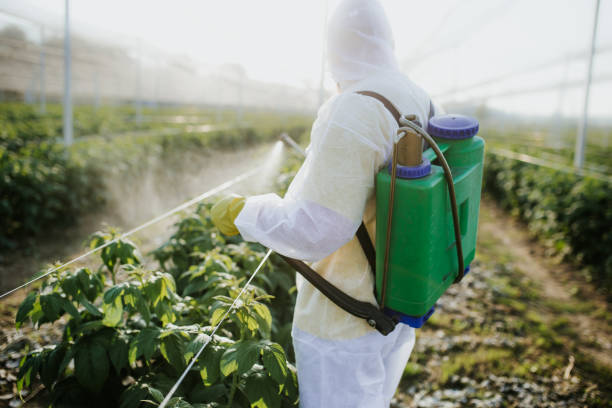 Best Emergency Pest Control  in Bridgman, MI